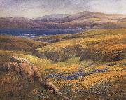 unknow artist Point Lobos in the Springtime oil